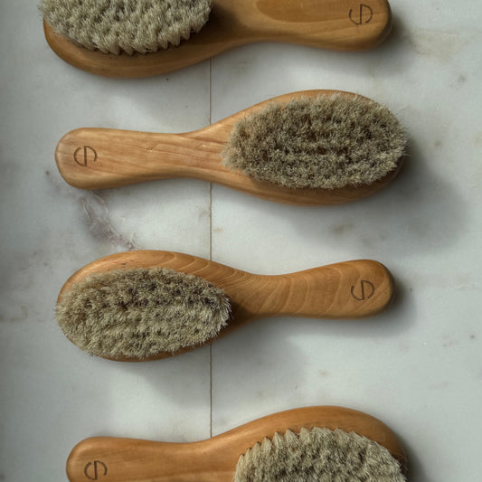 DRY BODY BRUSH